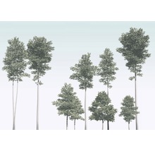 Illustratie van verschillende loofbomen van verschillende grootte