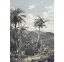 Tropisch landschap behang met palmbomen en bergen