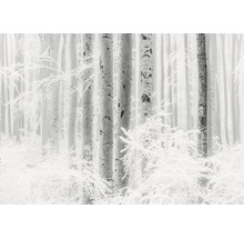 Winterlandschap met bomen en sneeuw
