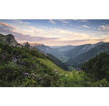 Panorama van een berglandschap met een bloemenweide op de voorgrond