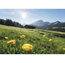 Landschap met berghut, bergweide en Alpenpanorama