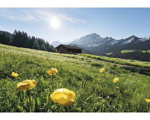 KOMAR Fotobehang vlies SHX8-003 Wanderlust - Stefan Hefele Alpine Happiness 400x280 cm