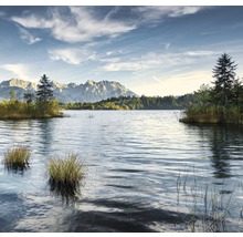 Landschap met meer, bomen en bergen