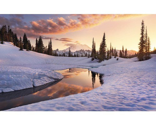 KOMAR Fotobehang vlies SHX9-005 Wanderlust - Stefan Hefele America the Beautiful 450x280 cm KOMAR Fotobehang vlies SHX9-005 Wanderlust - Stefan Hefele America the Beautiful 450x280 cm