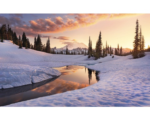 KOMAR Fotobehang vlies SHX9-005 Wanderlust - Stefan Hefele America the Beautiful 450x280 cm