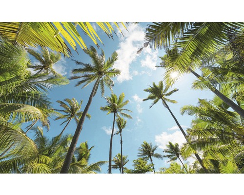 KOMAR Fotobehang vlies SHX9-108 Wanderlust - Stefan Hefele Coconut Heaven 450x280 cm KOMAR Fotobehang vlies SHX9-108 Wanderlust - Stefan Hefele Coconut Heaven 450x280 cm