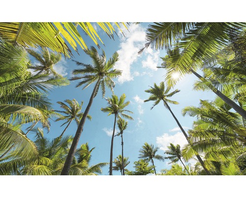 KOMAR Fotobehang vlies SHX9-108 Wanderlust - Stefan Hefele Coconut Heaven 450x280 cm