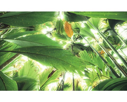 KOMAR Fotobehang vlies SHX9-024 Wanderlust - Stefan Hefele Jungleroof II 450x280 cm KOMAR Fotobehang vlies SHX9-024 Wanderlust - Stefan Hefele Jungleroof II 450x280 cm