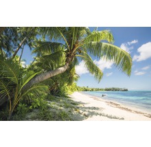 Tropisch strand met palmbomen en helder water