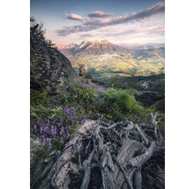 Berglandschap met rotsen, paarse bloemen en boomwortels