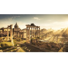 Historische ruïnes en gebouwen van het Forum Romanum in Rome bij zonsopgang.