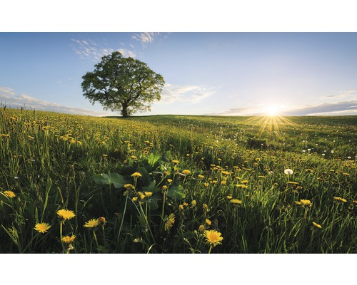 KOMAR Fotobehang vlies SHX9-034 Wanderlust - Stefan Hefele Spring in the country 450x280 cm