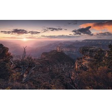 Panoramische opname van de Grand Canyon bij zonsopgang met rotsen, kloven en bomen