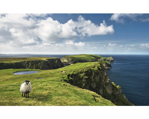 KOMAR Fotobehang vlies SHX9-040 Wanderlust - Stefan Hefele Green Ireland 450x280 cm KOMAR Fotobehang vlies SHX9-040 Wanderlust - Stefan Hefele Green Ireland 450x280 cm