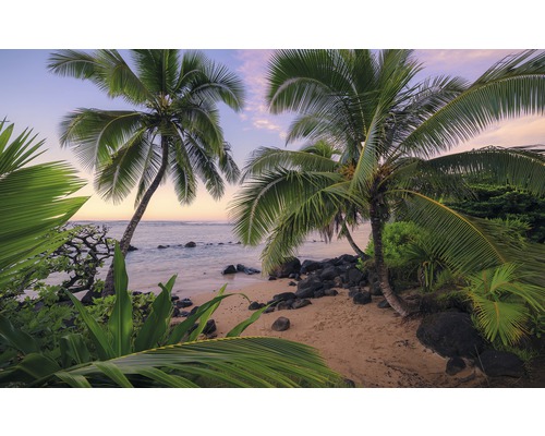 KOMAR Fotobehang vlies SHX9-116 Wanderlust - Stefan Hefele Hawaiian Dreams 450x280 cm