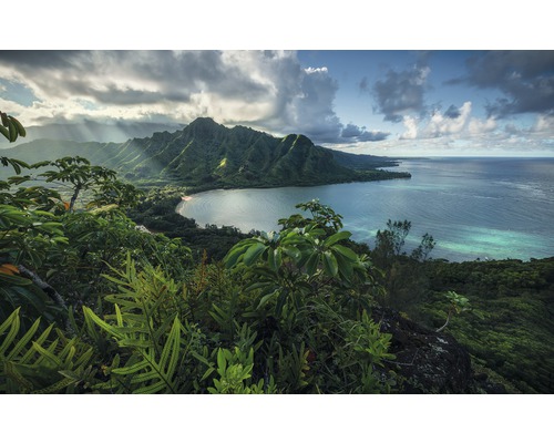 KOMAR Fotobehang vlies SHX9-117 Wanderlust - Stefan Hefele Jurassic Island 450x280 cm