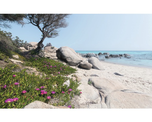 KOMAR Fotobehang vlies SHX9-056 Wanderlust - Stefan Hefele Mediterranean Dreams 450x280 cm KOMAR Fotobehang vlies SHX9-056 Wanderlust - Stefan Hefele Mediterranean Dreams 450x280 cm