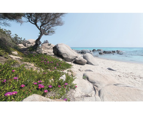 KOMAR Fotobehang vlies SHX9-056 Wanderlust - Stefan Hefele Mediterranean Dreams 450x280 cm