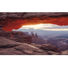 Panorama van Canyonlands National Park met rotsformaties en weids landschap