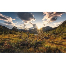 Landschap met bergen, weide en zonsopgang