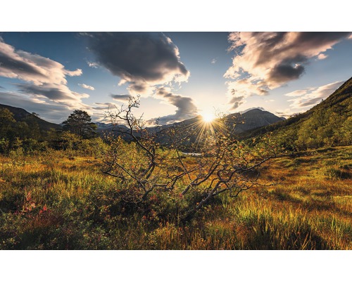 KOMAR Fotobehang vlies SHX9-060 Wanderlust - Stefan Hefele Norwegian Worlds 450x280 cm