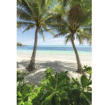 Strandgezicht met palmbomen en tropische vegetatie
