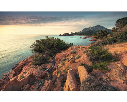 KOMAR Fotobehang vlies SHX9-066 Wanderlust - Stefan Hefele Paradiso II 450x280 cm KOMAR Fotobehang vlies SHX9-066 Wanderlust - Stefan Hefele Paradiso II 450x280 cm