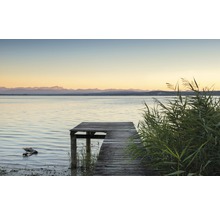 Houten steiger aan het meer met riet