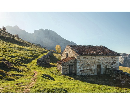 KOMAR Fotobehang vlies SHX9-068 Wanderlust - Stefan Hefele Picos de Europe Alm 450x280 cm KOMAR Fotobehang vlies SHX9-068 Wanderlust - Stefan Hefele Picos de Europe Alm 450x280 cm