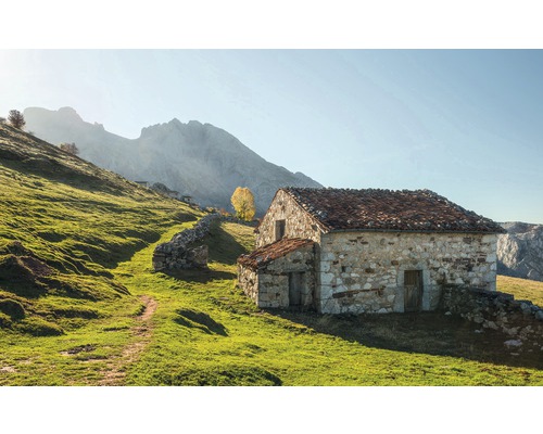 KOMAR Fotobehang vlies SHX9-068 Wanderlust - Stefan Hefele Picos de Europe Alm 450x280 cm