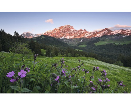 KOMAR Fotobehang vlies SHX9-069 Wanderlust - Stefan Hefele Picturesque Switz 450x280 cm KOMAR Fotobehang vlies SHX9-069 Wanderlust - Stefan Hefele Picturesque Switz 450x280 cm