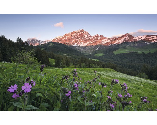 KOMAR Fotobehang vlies SHX9-069 Wanderlust - Stefan Hefele Picturesque Switz 450x280 cm