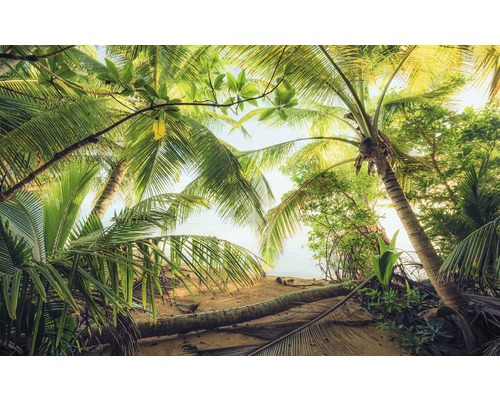 KOMAR Fotobehang vlies SHX9-070 Wanderlust - Stefan Hefele Pirate Hidingplace 450x280 cm KOMAR Fotobehang vlies SHX9-070 Wanderlust - Stefan Hefele Pirate Hidingplace 450x280 cm