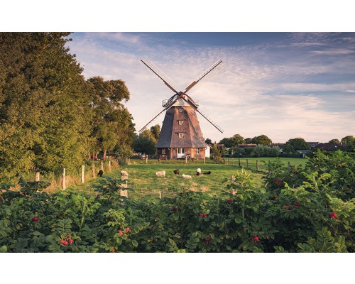 KOMAR Fotobehang vlies SHX9-083 Wanderlust - Stefan Hefele Days like this 450x280 cm KOMAR Fotobehang vlies SHX9-083 Wanderlust - Stefan Hefele Days like this 450x280 cm