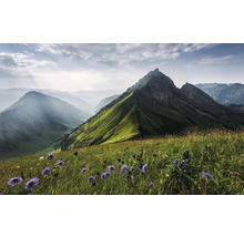 Landschap met bergweide en bergtoppen