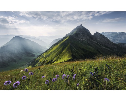 KOMAR Fotobehang vlies SHX9-088 Wanderlust - Stefan Hefele The Green Queen 450x280 cm