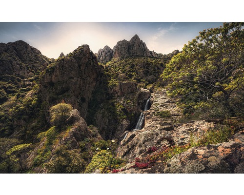 KOMAR Fotobehang vlies SHX9-075 Wanderlust - Stefan Hefele Rainbow Lands 450x280 cm KOMAR Fotobehang vlies SHX9-075 Wanderlust - Stefan Hefele Rainbow Lands 450x280 cm