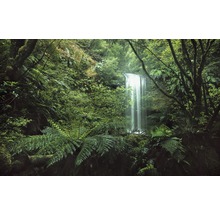 Scene van een waterval te midden van weelderige vegetatie