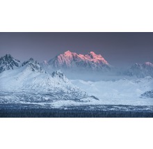Winterlandschap met besneeuwde bergen en bos