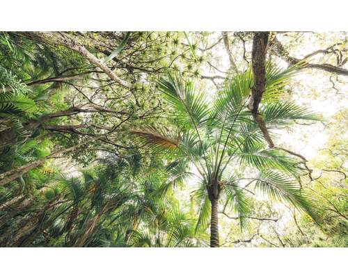 KOMAR Fotobehang vlies SHX9-128 Wanderlust - Stefan Hefele Touch the Jungle 450x280 cm
