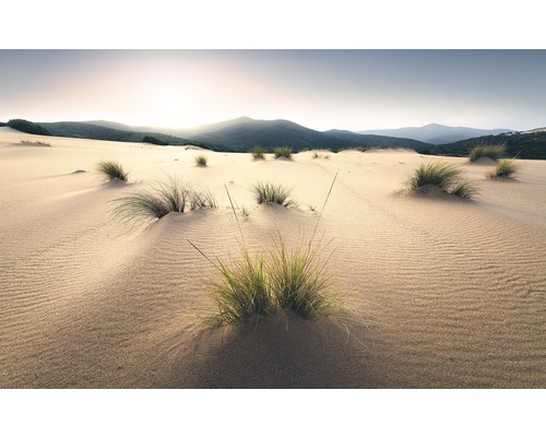 KOMAR Fotobehang vlies SHX9-091 Wanderlust - Stefan Hefele Vivid Dunes 450x280 cm KOMAR Fotobehang vlies SHX9-091 Wanderlust - Stefan Hefele Vivid Dunes 450x280 cm