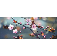 Close-up van takken met roze kersenbloesems