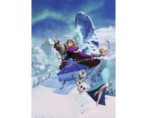 KOMAR Fotobehang vlies DX4-014 Disney Edition 4 Frozen Elsas Magic 200x280 cm Personages uit de film Frozen voor een besneeuwd landschap