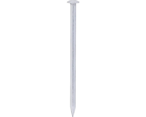 DELTAFIX Draadnagel 1,2x20 mm bolkop RVS A2, 500 stuks Een enkele stalen nagel met platte kop.