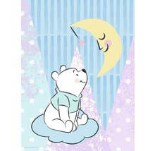 KOMAR Poster Winnie Pooh Moon 30x40 cm