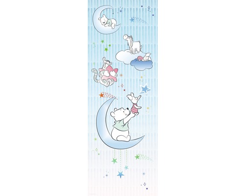 KOMAR Fotobehang vlies DX2-082 Disney Edition 4 Winnie the Pooh Piglet&Stars 100x280 cm