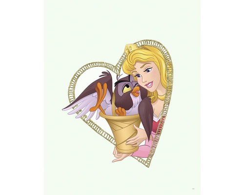 KOMAR Poster Aurora & Owl 40x50 cm