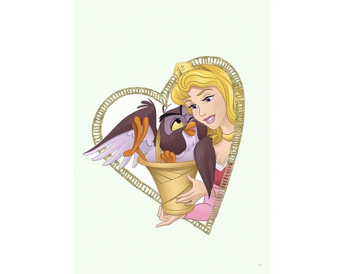KOMAR Poster Aurora & Owl 50x70 cm