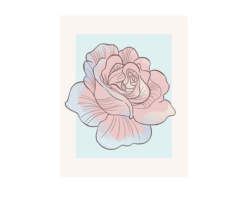 KOMAR Poster Cinderella Rose 40x50 cm