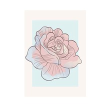 KOMAR Poster Cinderella Rose 50x70 cm